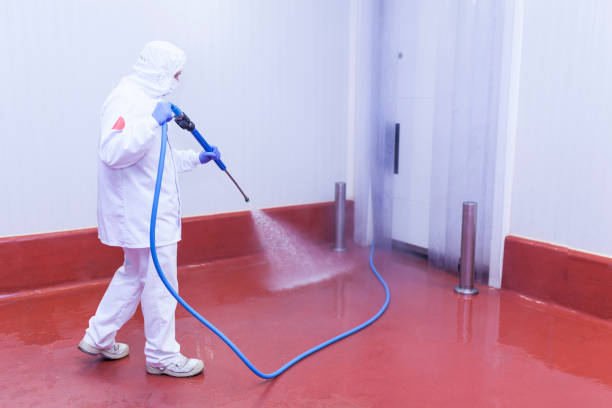 Best Sidewalk and Walkway Cleaning  in Fremont, IN